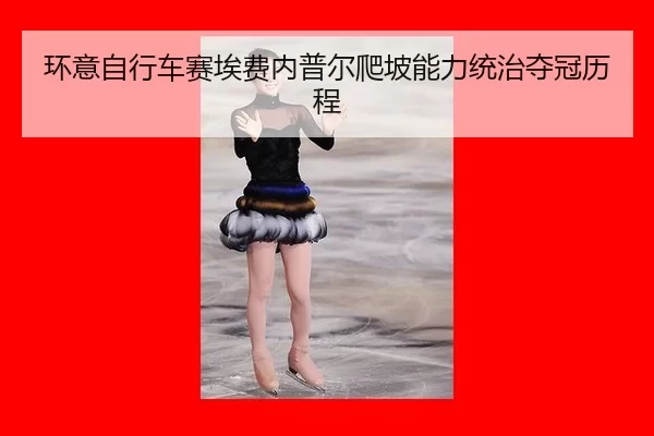 huan-yi-zi-xing-che-sai-ai-fei-nei-pu-er-pa-po-neng-li-tong-zhi-duo-guan-li-cheng-2-482.jpg