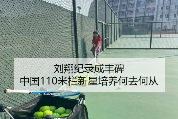 刘翔纪录成丰碑 中国110米栏新星培养何去何从