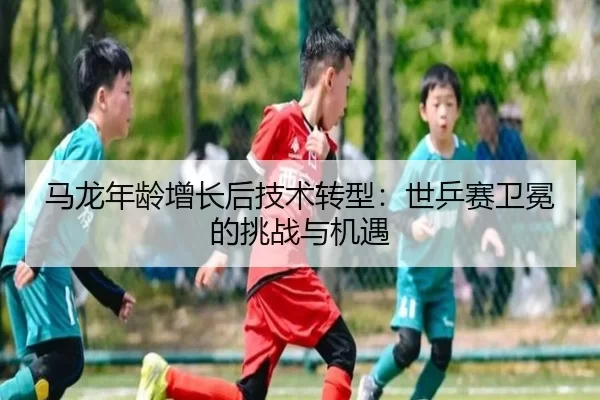 ma-long-nian-ling-zeng-zhang-hou-ji-shu-zhuan-xing-shi-ping-sai-wei-mian-de-tiao-zhan-yu-ji-yu-2-774.jpg