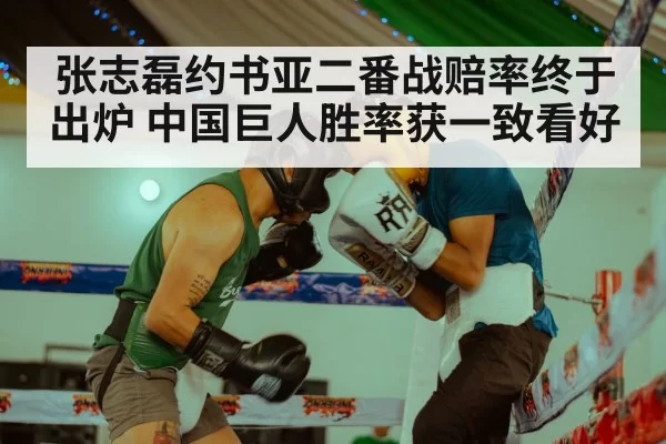 张志磊约书亚二番战赔率终于出炉 中国巨人胜率获一致看好