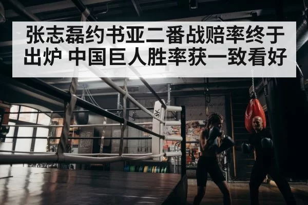 boxer training