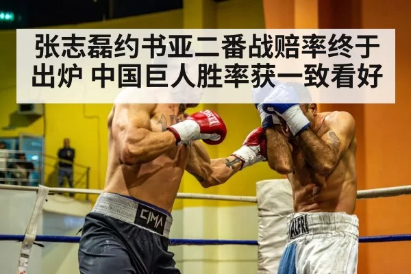 heavyweight boxer